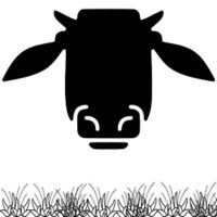 Thomas-K.de - Thomas Krüßmann - Steak - Gras-fed - natürliche Multivitamin Versorgung